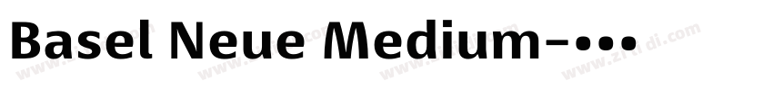 Basel Neue Medium字体转换